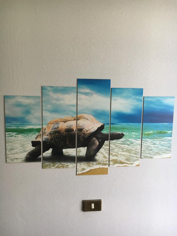 Hotel Acqua Marina Albissola Marina Zewnętrze zdjęcie